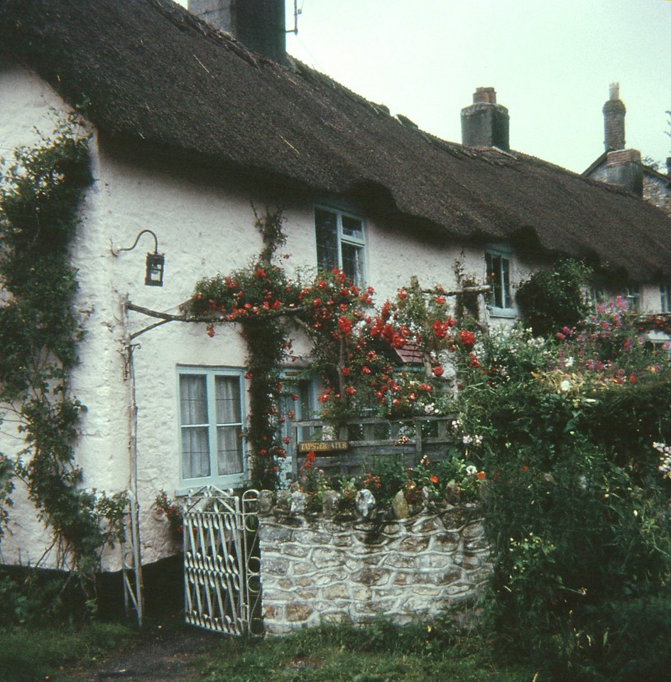 A whitewashed thatched cottage with roses around the door and a stone garden wall